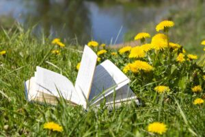 На лужайке с одуванчиками лежит открытая книга / Pexels