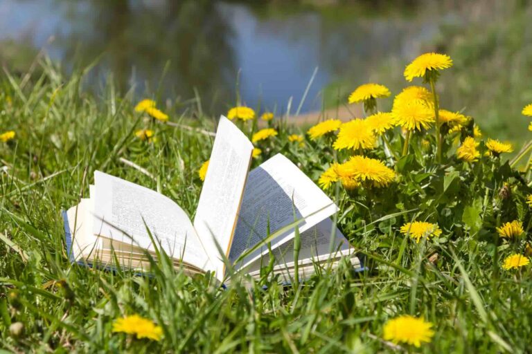 There's an open book lying on the dandelion lawn / Pexels