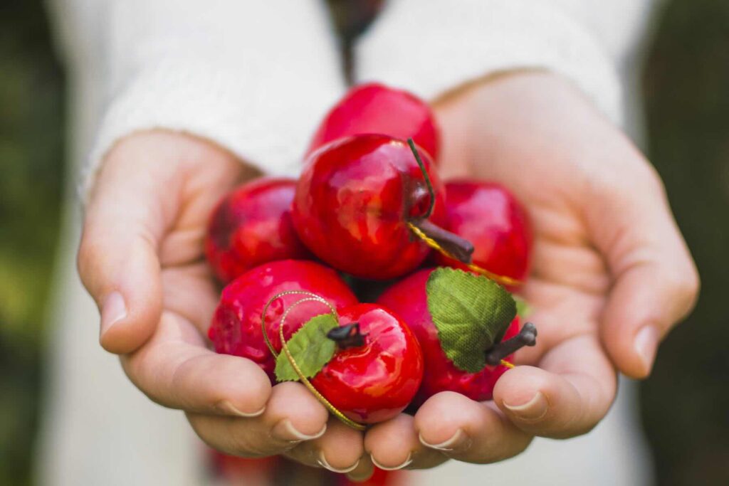 What Is the Apple Feast of the Saviour? History and Traditions of the Holiday