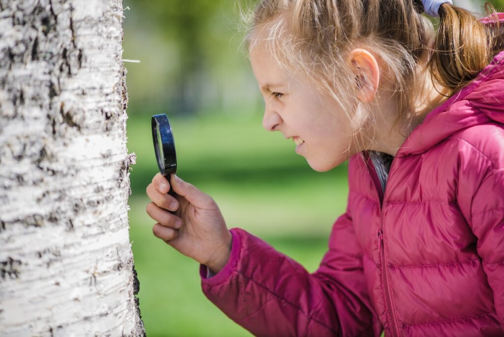 Play an outdoor scavenger hunt