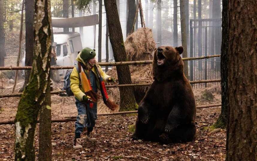 Студия: «Арна Медиа»