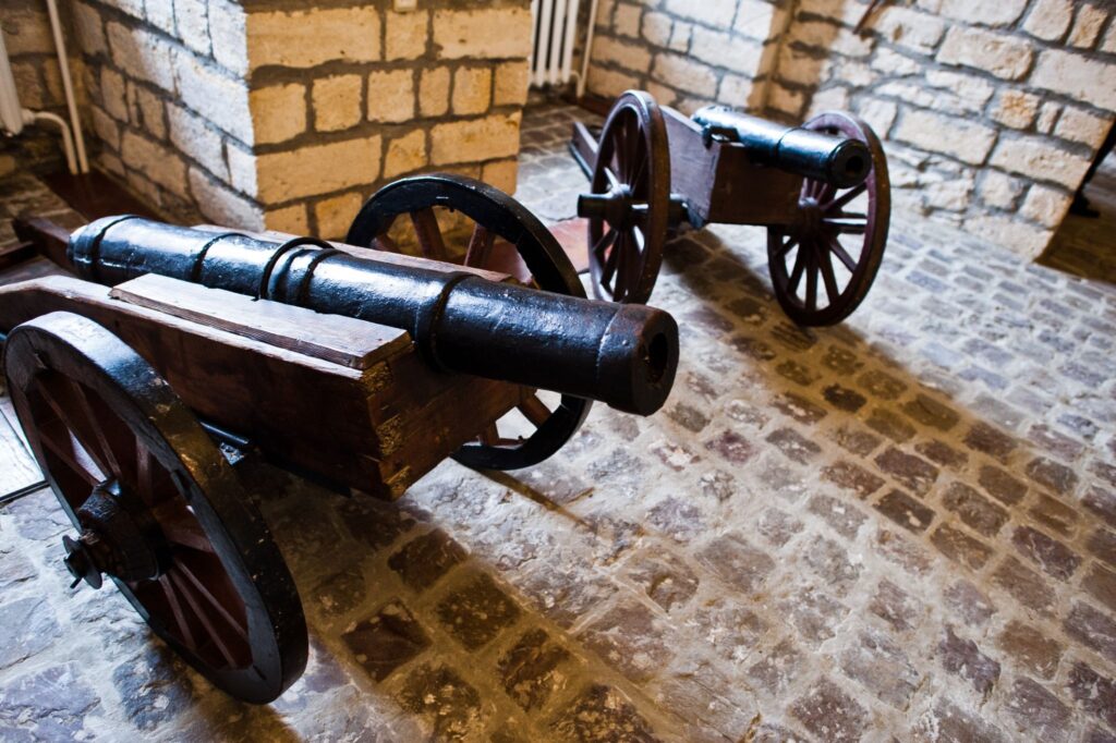 Cannon in the fortress