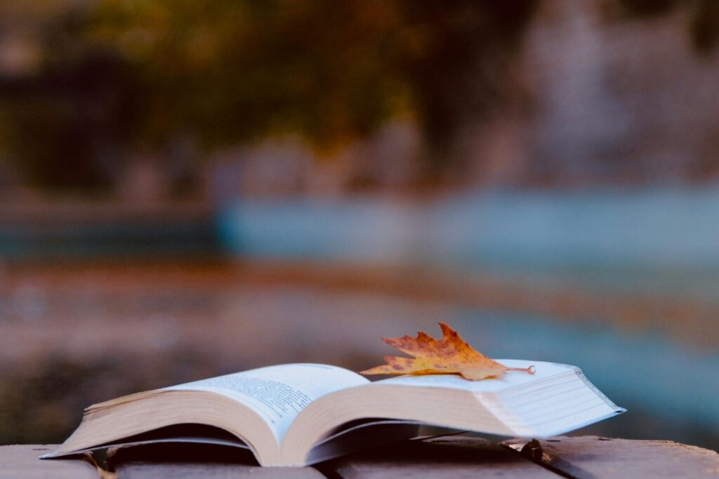 Открытая книга и на ней кленовый лист