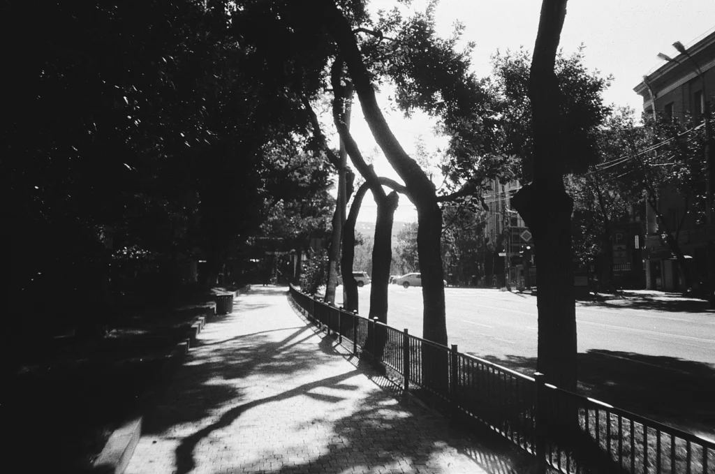 Черно-белое фото улицы