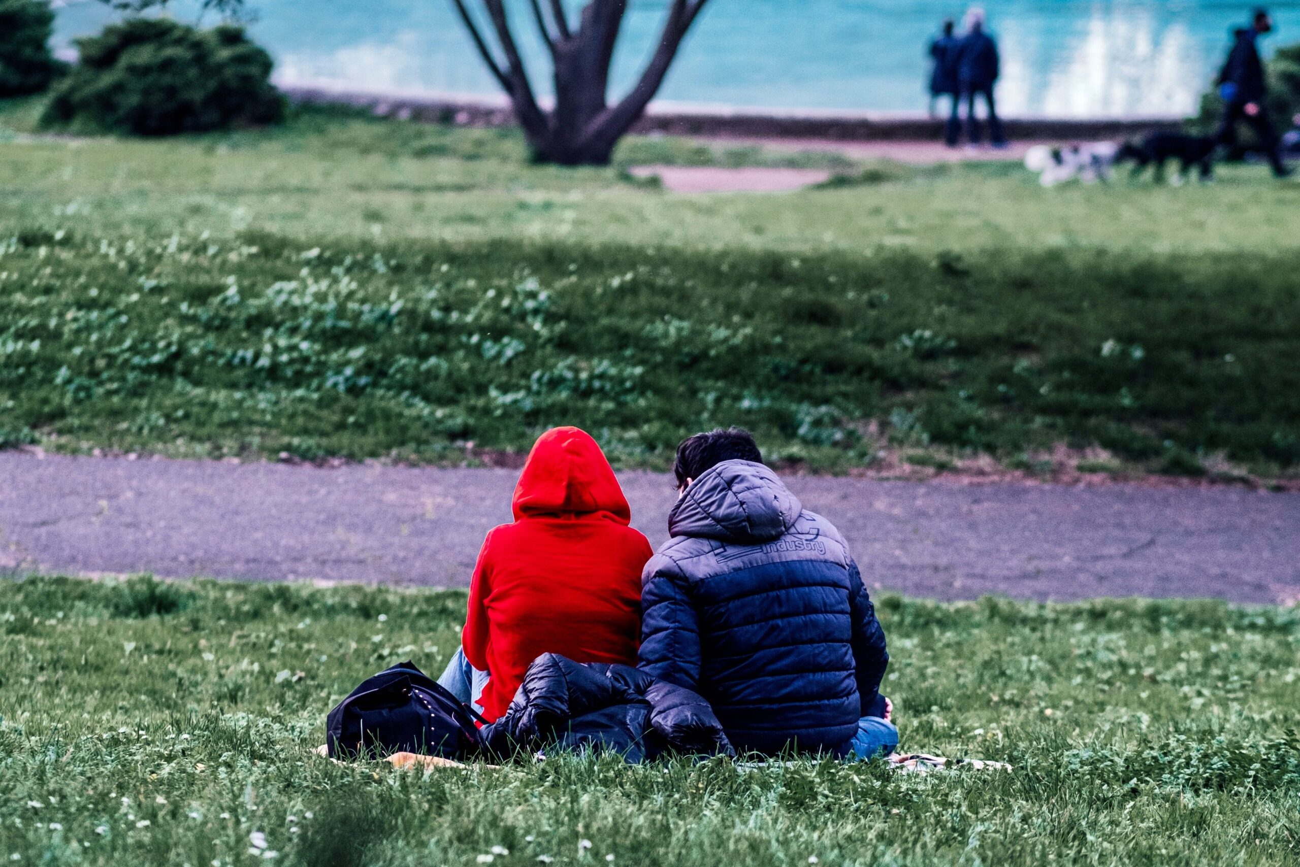 a couple of children enjoying the view