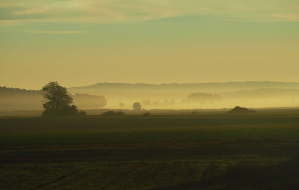 A flat field covered in morning mist