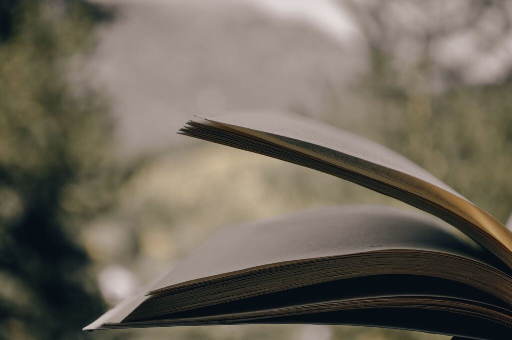 Раскрытая книга, страницы в мягком расфокусе на фоне зелени