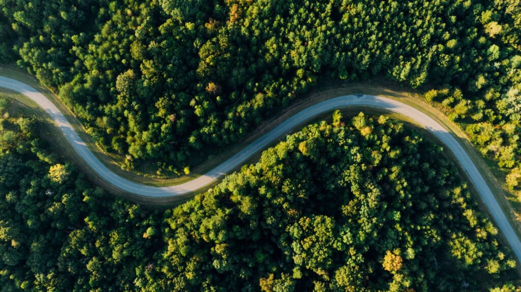 Петляющая дорога, уходящая через лес, вид сверху