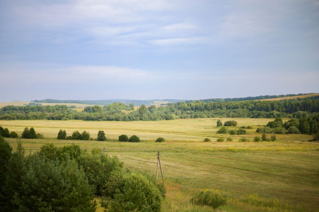 Зеленые поля и леса в Пермском крае, Россия