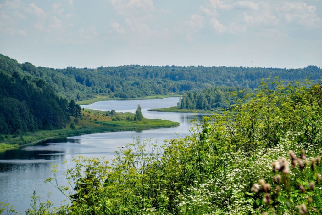 Спокойная река среди зелени, Псковская область