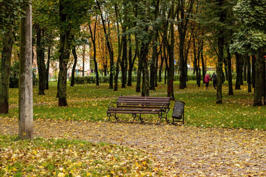 Пустые скамьи в осеннем парке, палая листва на дорожке