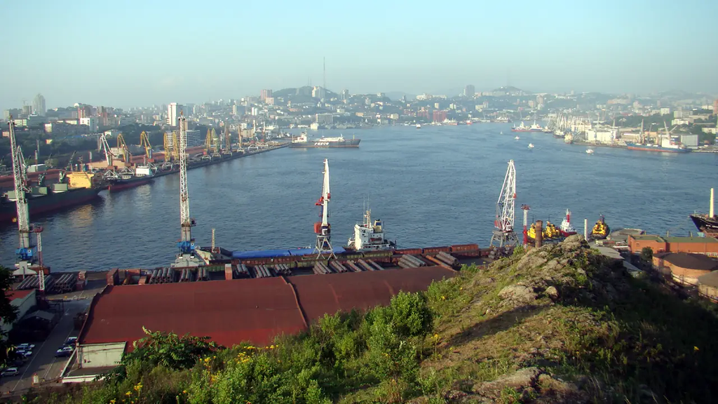 Владивостокский морской торговый порт. Вид с сопки Крестовая, август 2009 года.