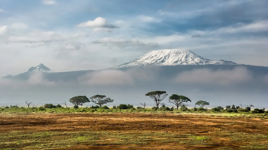 Savanna with acacias in the foreground and snow-covered Mount Kilimanjaro in the distance. View from Amboseli National Park, photo from 2012.