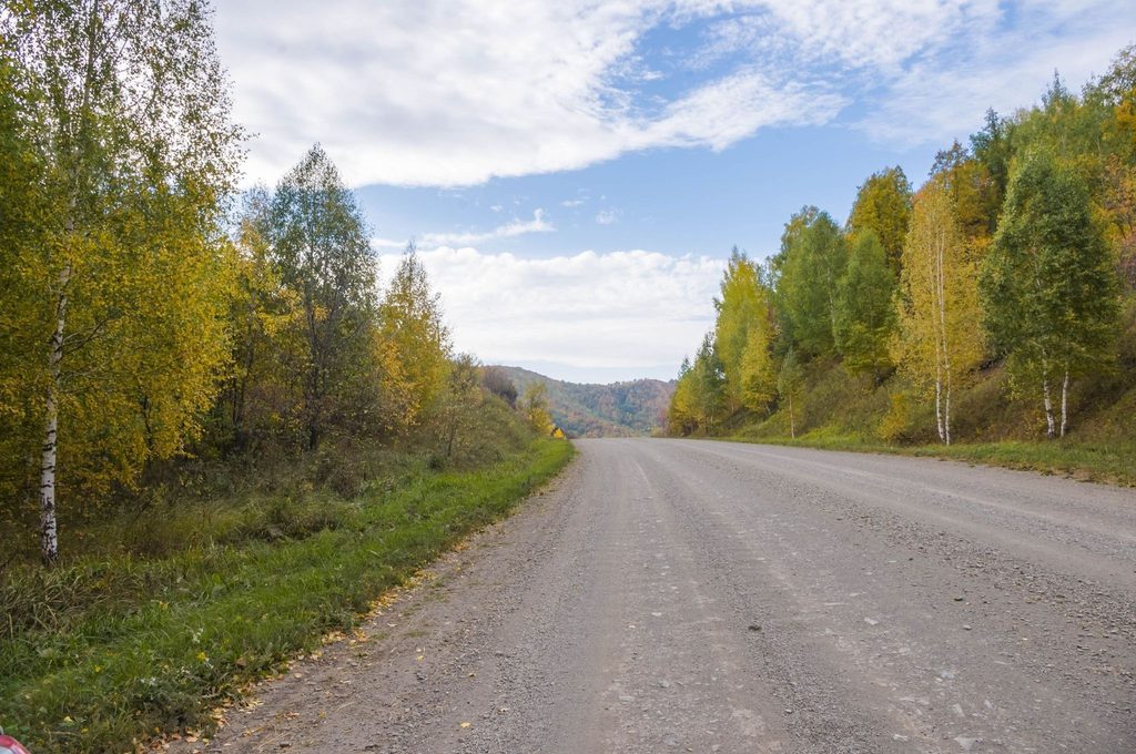 Дорога в лесу