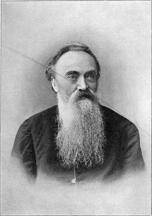 Николай Николаевич Страхов. Репродукция из «Галереи русских писателей», издание 1901 года.