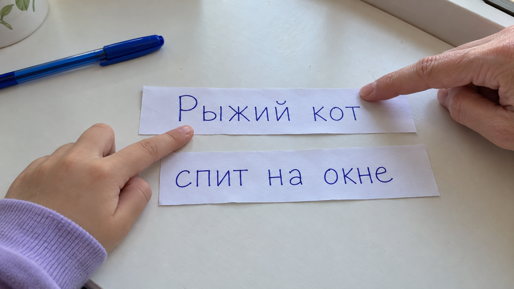 The proposal «The Red Cat Sleeps on the Window» is divided into two paper strips.